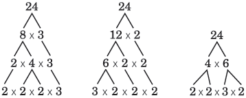 Prime Numbers: Factorization & Factor Tree - Curvebreakers